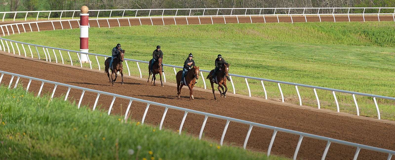 Blackwood Stables Training Track, Versailles, KY