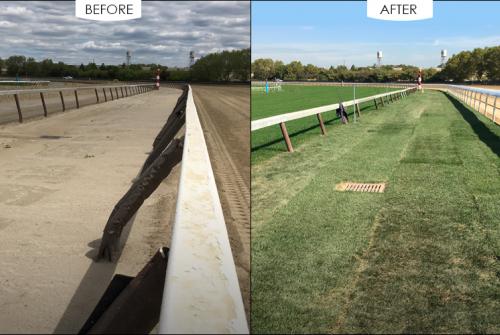 Aqueduct Racetrack, Queens, NY