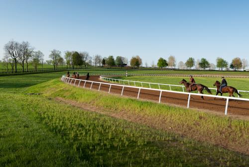 Blackwood Stables Training Track, Versailles, KY